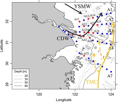 The linkage between phytoplankton productivity and photosynthetic electron transport in the summer from the Changjiang River to the East China Sea